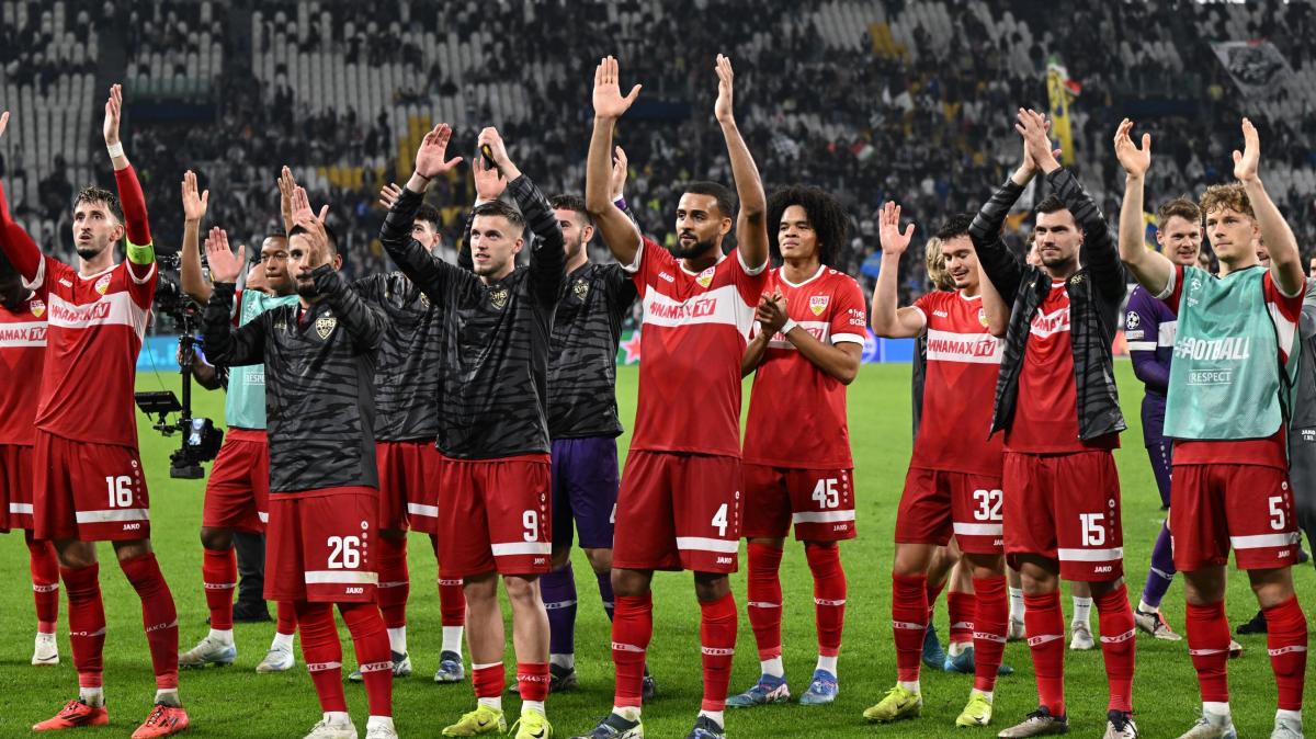 Immagine strip Primo piano n.2