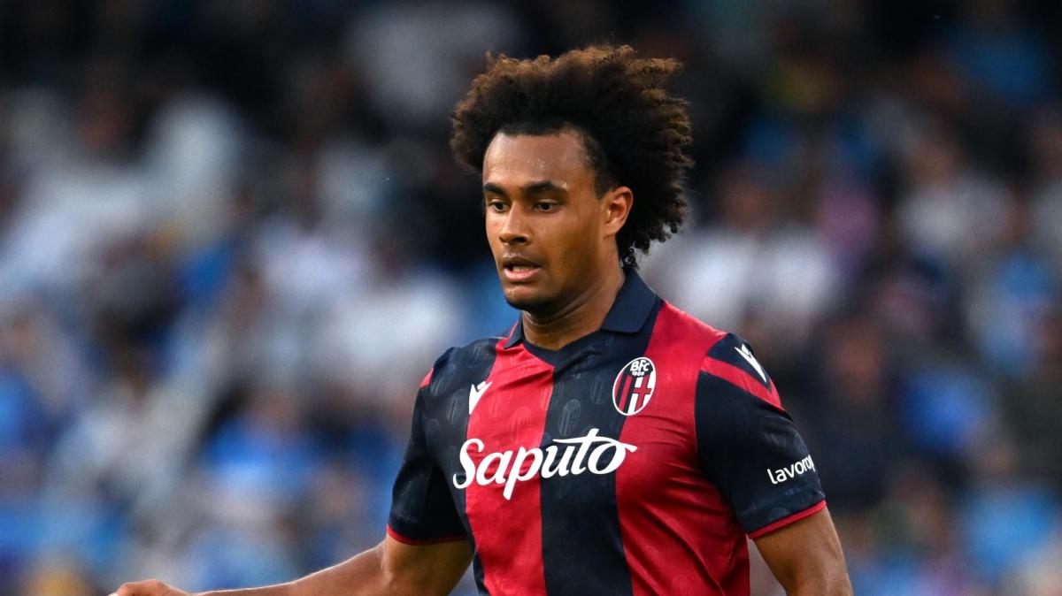 Immagine strip Primo piano n.3