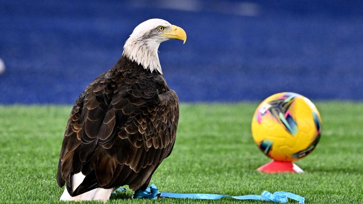 Lazio, presenta la nuova aquila. Bernabè: "Quella è sempre Olimpia"