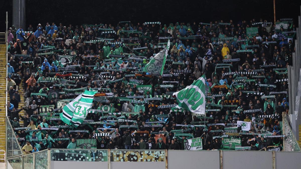 Immagine strip Primo piano n.1