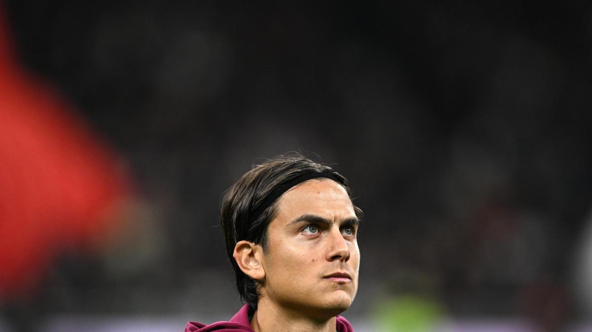 Immagine strip Primo piano n.2