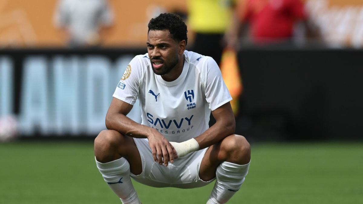 Immagine strip Primo piano n.1