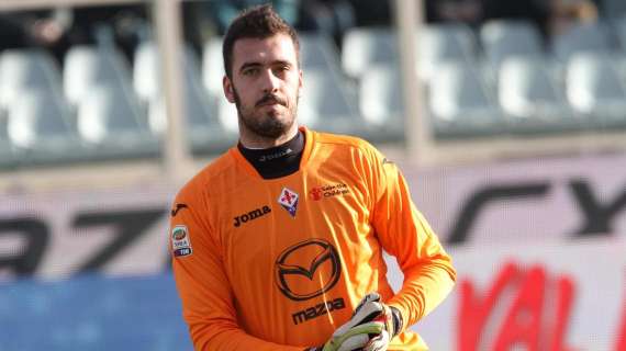 Viviano: "Ho fatto le mie considerazioni, ma restare a Firenze è stata la scelta giusta"