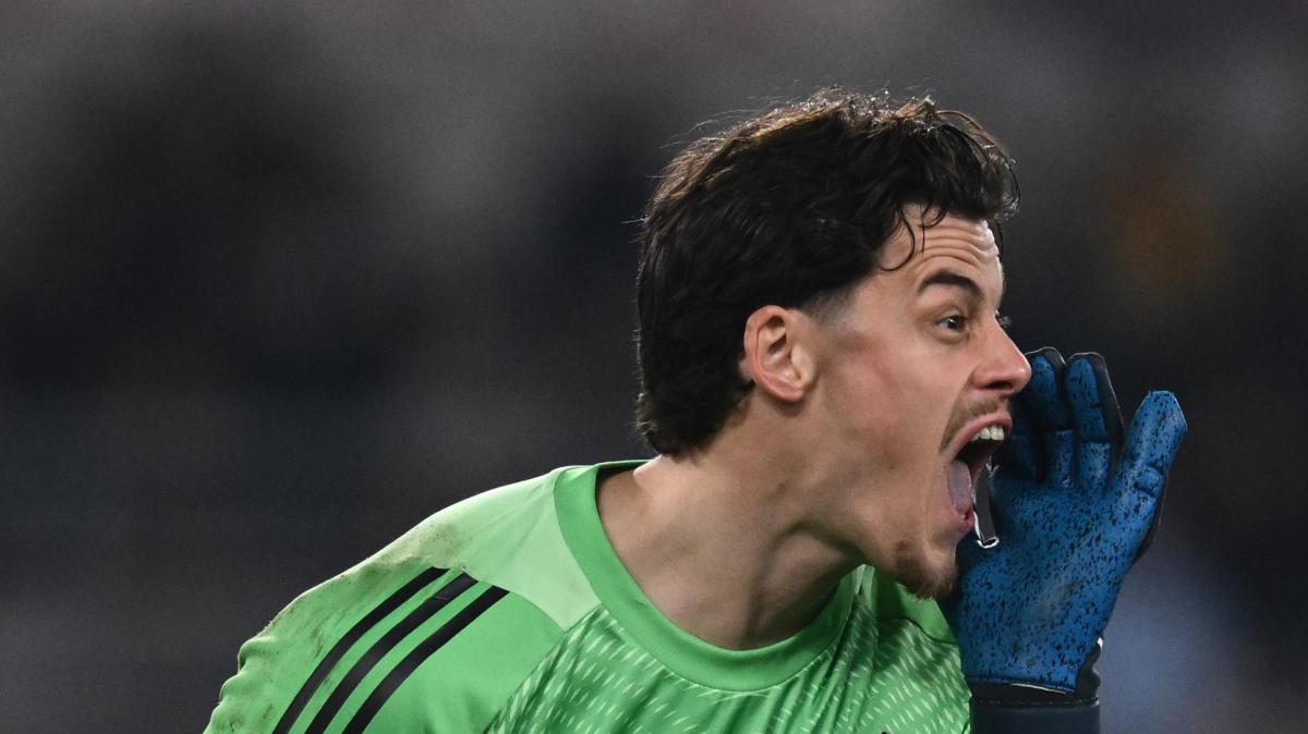 Immagine strip Primo piano n.3