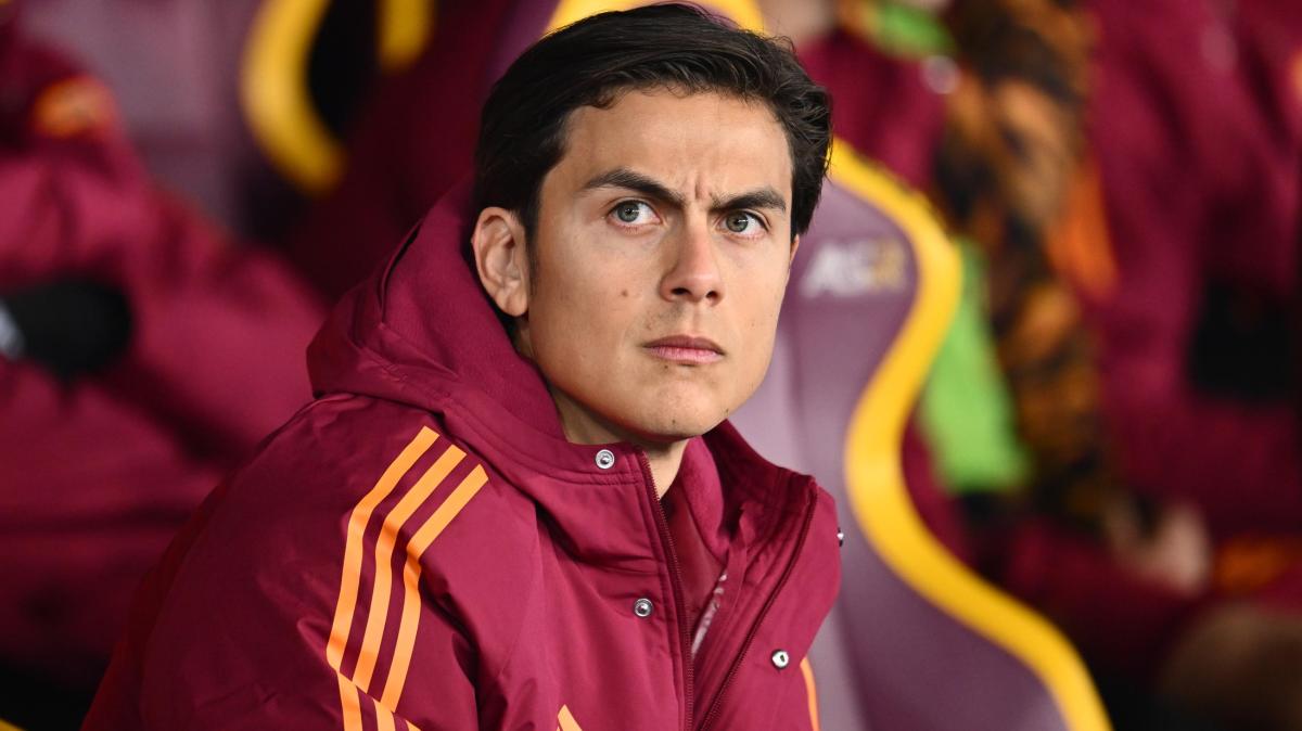 Immagine strip Primo piano n.2