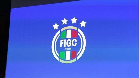 Inchiesta Plusvalenze, proposto ricorso per revocazione per 9 club e 52 dirigenti. Il comunicato della FIGC