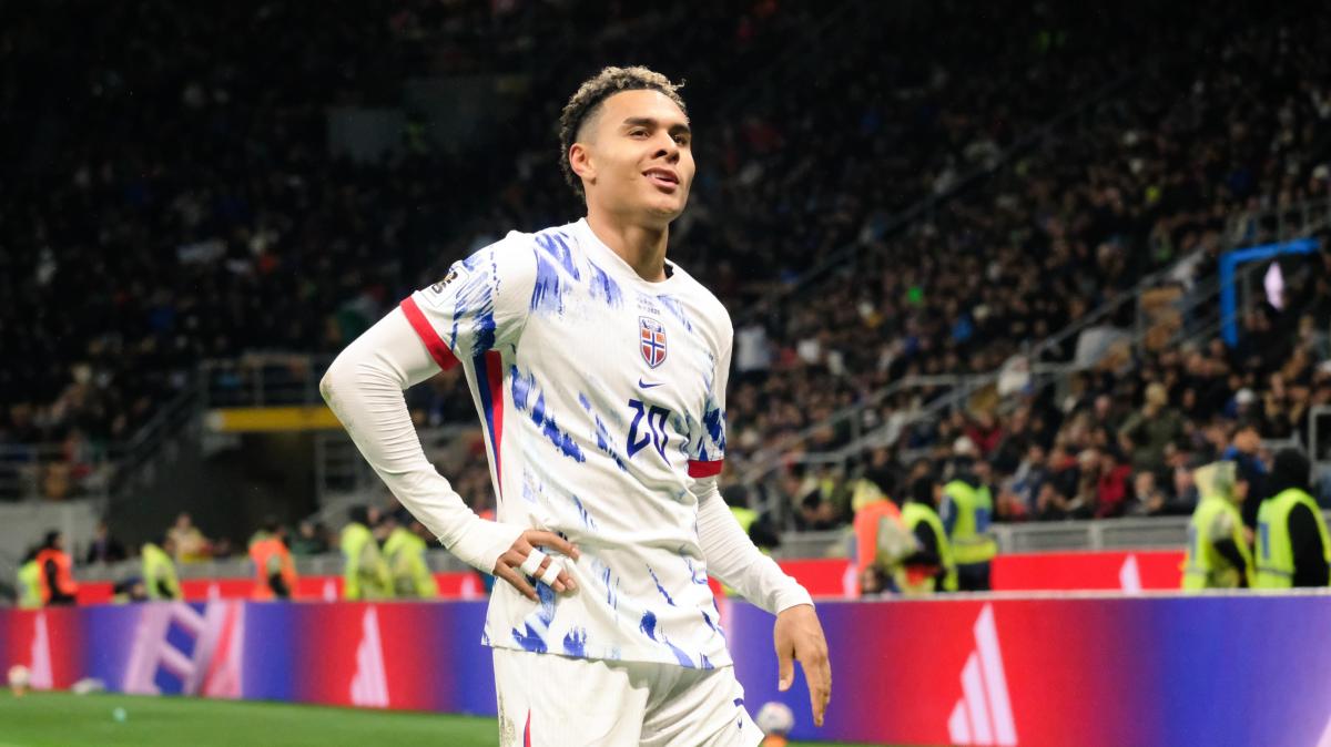 Immagine strip Primo piano n.4