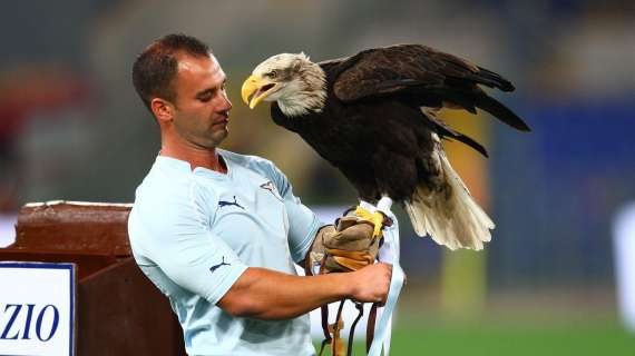 Associazioni animaliste dicono "no" al volo dell'aquila sull'Olimpico