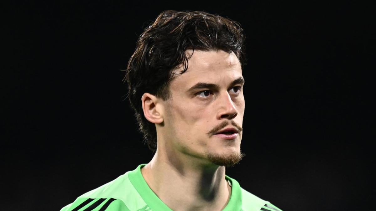 Immagine strip Primo piano n.3