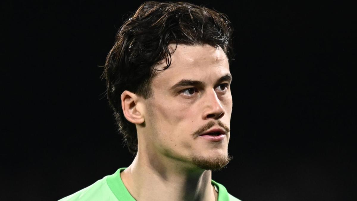 Immagine strip Primo piano n.2