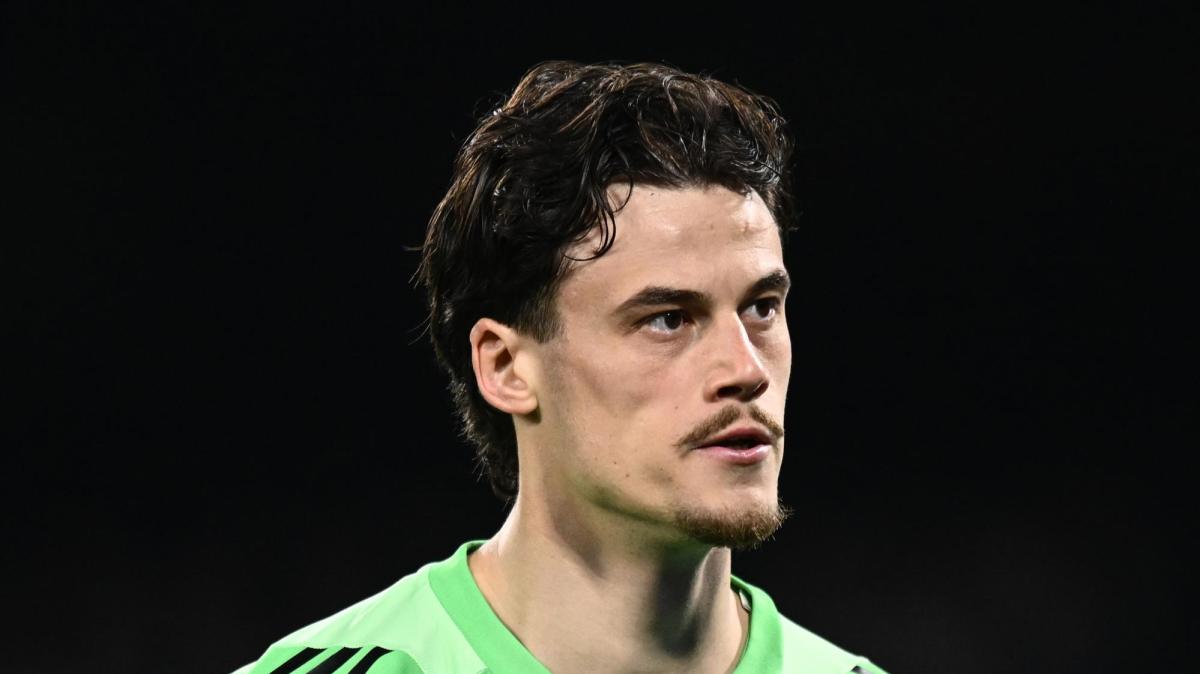 Immagine strip Primo piano n.1