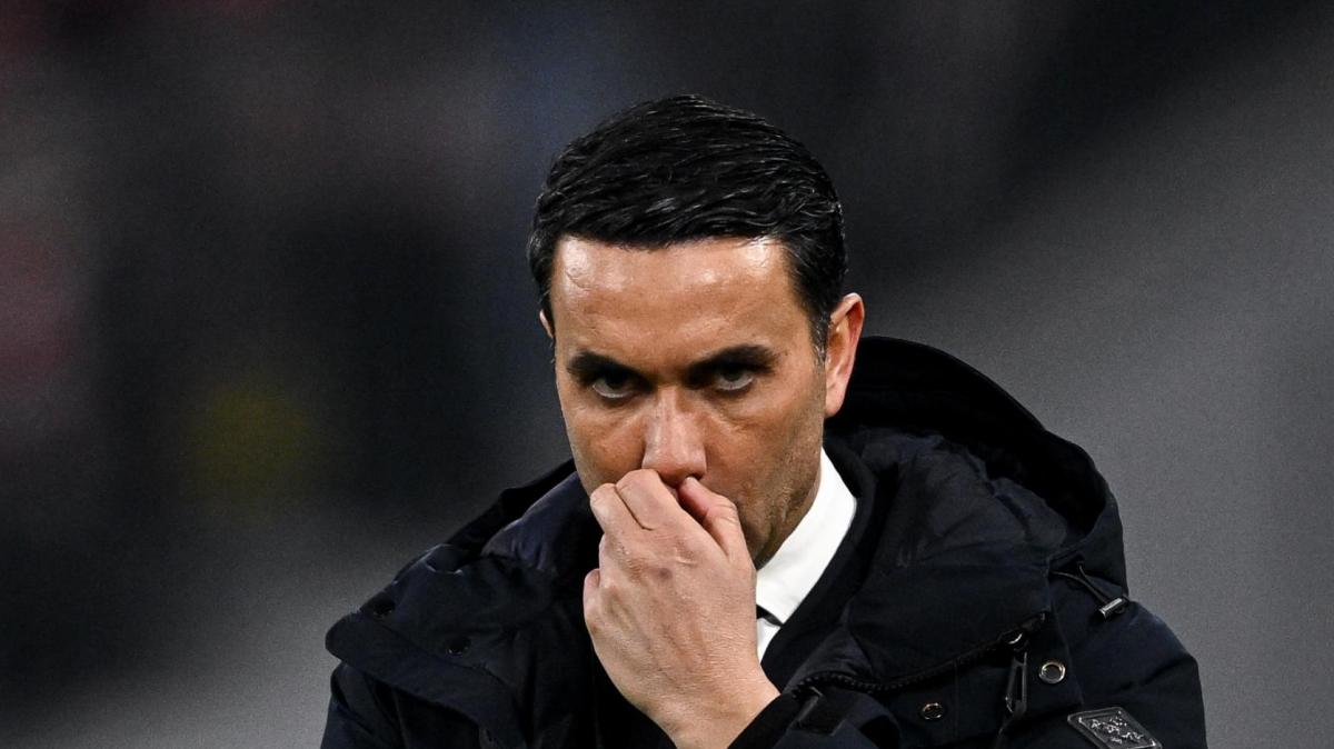 Atalanta, Palladino: "Ce la giocheremo fino alla fine. Proveremo a prendere qualcuna lì davanti"