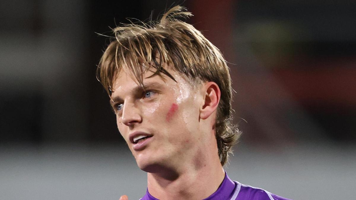 Immagine strip Primo piano n.3