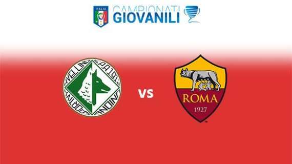 UNDER 16 SERIE A E B - US Avellino 1912 vs AS Roma 0-2
