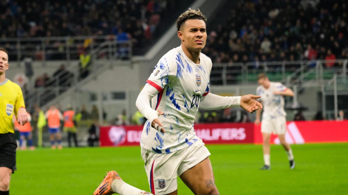 Immagine strip Primo piano n.2