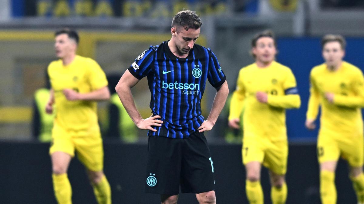 Immagine strip Primo piano n.1