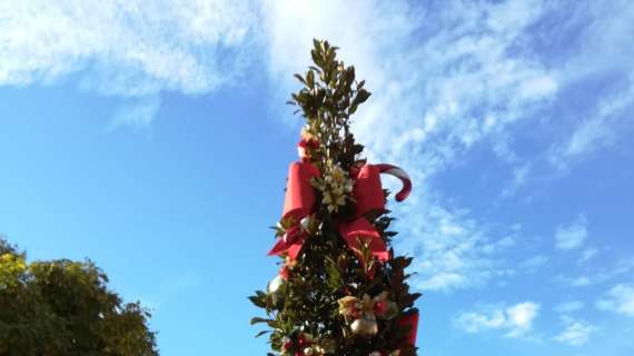 ChristmAS Roma, l'albero di Natale a tinte giallorosse a Piazza Ormea. FOTO!