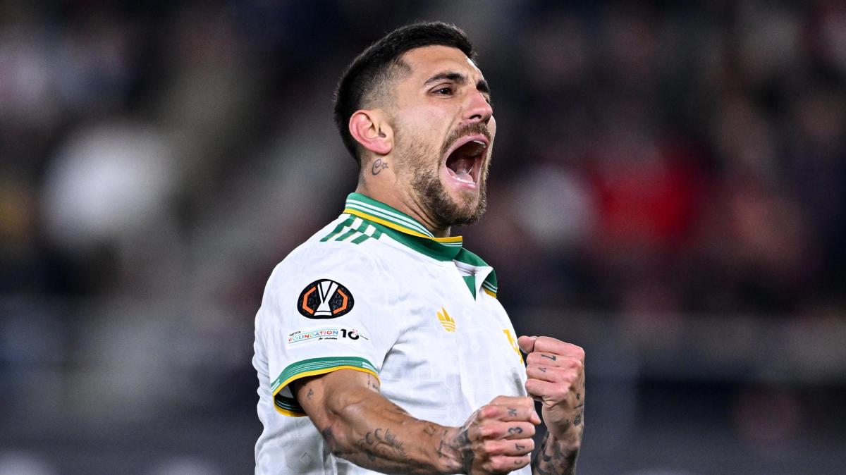 Immagine strip Primo piano n.3