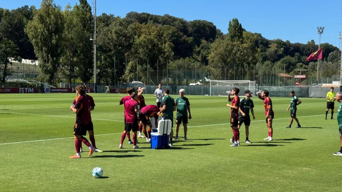 Immagine strip Primo piano n.1