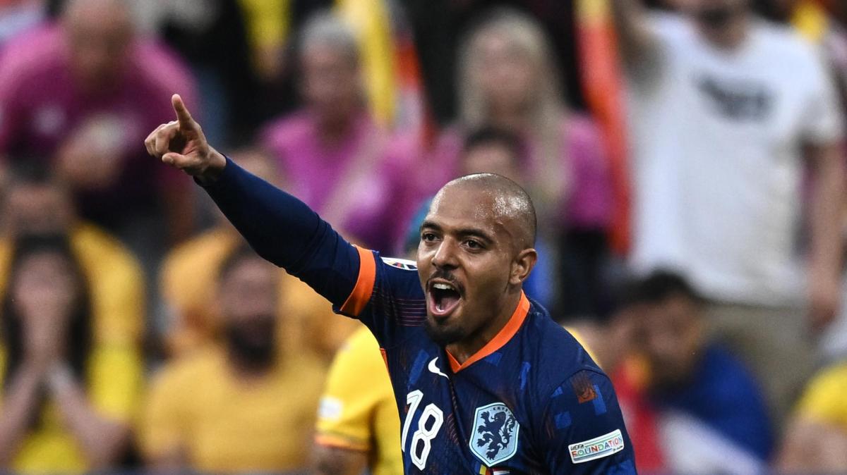 Immagine strip Primo piano n.3